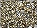1/8 Inch Map Tacks - Gold