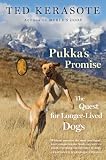 Pukkas Promise: The Quest for Longer-Lived Dogs