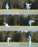 Dr. Chen's Tai Chi 24 Forms Level 3