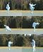 Dr. Chen's Tai Chi 24 Forms Level 3