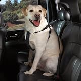 BLACK - LARGE - The Cruising Companion Car Harness