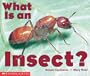 What Is An Insect? (Emergent Readers)