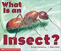 What Is An Insect? (Emergent Readers)