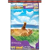 Friskies Dry Cat Food, Surfin' and Turfin' Favorites, 22-Pound Bag, Pack of 1