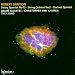 Robert Simpson: String Quartet No. 13, & Quintet No. 2
