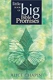 The Little Book of Big Bible Promises Knowing God: Walking through the Book of Books