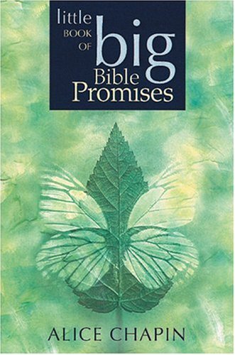 The Little Book of Big Bible Promises