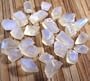 4 Grams Blue Flash Shiller Moonstone Feldspar Gem Stone Facet Rough Gemstone Lots Faceting Jewel Faceters Facet Rough Gems Moonstones
