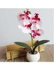 Home: Artificial Flowers With Vase, RIUDA Four Butterfly Orchid Meaty Plant Bonsai Creative Flower Arranging Accessories (White) - RIUDA