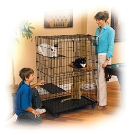 Buy Midwest 130 Cat Playpen by Midwest