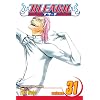 Bleach, Vol. 31
