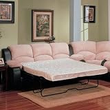 Agoura Two-Tone Queen Sleeper Sofa Color: Dark Brown