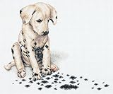 Dimensions Needlecrafts Counted Cross Stitch, Echo.