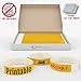 Grandstand 3/4-Inch Tyvek Event Wristbands for easy VIP identification, Neon Orange, 500 Count