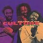 Culture in Dub: 15 Dub Shots