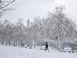 Cold, Snowy Jog on the Washington National Mall - Splendid 16"x20" Photographic Print by Carol M. Highsmith