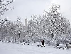 Cold, Snowy Jog on the Washington National Mall - Splendid 16"x20" Photographic Print by Carol M. Highsmith