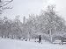 Cold, Snowy Jog on the Washington National Mall - Splendid 16"x20" Photographic Print by Carol M. Highsmith