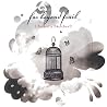 Image of album by Far Beyond Frail