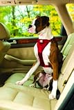Kurgo TruFit Harness for Dogs