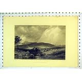 眺めのバトルフィールドの Sheriffmuir の国場面山
