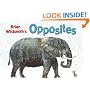 Brian Wildsmith's Opposites
