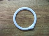 Circline Type Magnifying Bulb 4 3/4