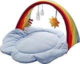 HABA Rainbow Magic Play Gym [並行輸入品]