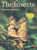 The Insects: Structure and Function