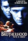 the brotherhood 4 - patto di sangue / Brotherhood IV: The Complex (Dvd) Italian Import