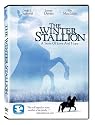 The Winter Stallion/Horses of Europe