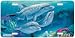 For Dolphin Lovers - Dolphin Ocean Art Print - License Plate Car Tag by Sherry Vintso...