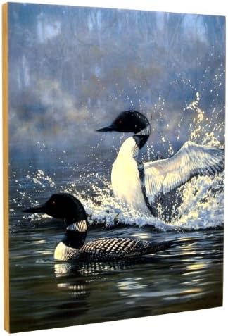 Walnut Hollow Ingrained Art Morning Display Loons on Wood Panel Wall Décor with Golden Pecan Edges by John Seery-Lester, 11 by 14-Inch