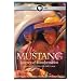 Mustang: Journey to Transformation