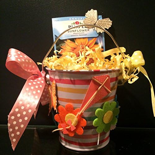 Sunflower seeds and decorated pail. Sunflower starter kits. Gift for her.