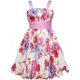 Rare Editions Girls 7-16 Floral Print Chiffon Dress