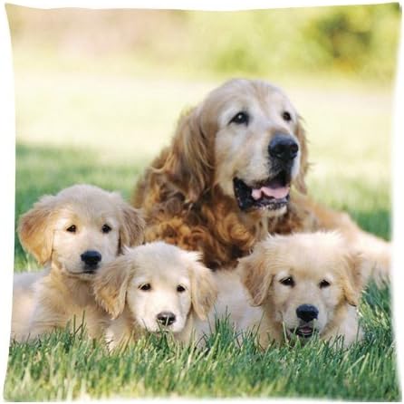 pillow and Outdoor Throw Pillow golden retriever lovely puppy dog wallpaper Zippered 18 inch (two sides)