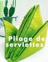 Pliage de serviettes (Id�es & cr�ations)