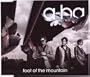 Foot of the Mountain (2-Track)