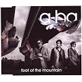 Foot of the Mountain (2-Track)