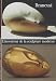 Brancusi : L'inventeur de la sculpture moderne