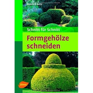 Formgehölze schneiden: Schnitt für Schnitt