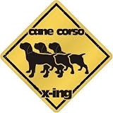 New Cane Corso X-Ing / Xing Iii Crossing Dog