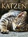Katzen