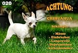 Metall - Warnschild Chihuahua