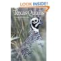 Texas Quails: Ecology and Management (Perspectives on South Texas, Sponsored by Texas A&m Universi)