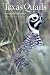 Texas Quails: Ecology and Management (Perspectives on South Texas, Sponsored by Texas A m Universi)