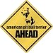 New  American Pit Bull Terrier Bites Ahead !  Crossing Dog