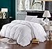 Royal Hotel Bedding Queen Size Down-Comforter 500-Thread-Count Down Comforter 100 Percent Cotton 500 TC - 750FP - 50Oz - Solid White