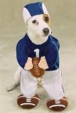 Football Fever X-SMALL Dog Puppy Halloween Costume